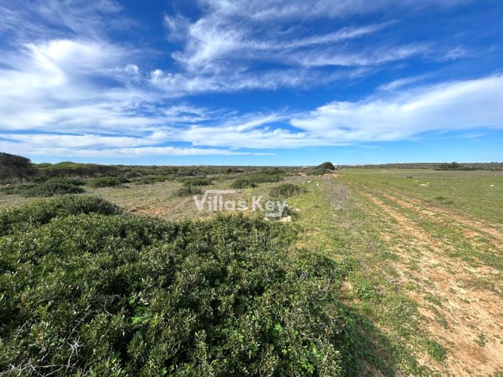 Image No.11-Plot for sale