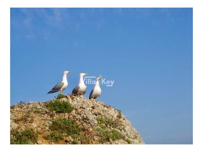 Image No.13-Plot for sale