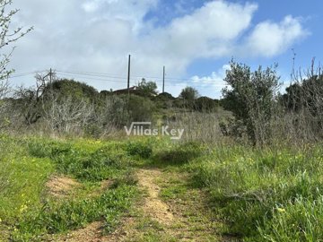 idab417901-0000-0500-0000-000015a6dcf0