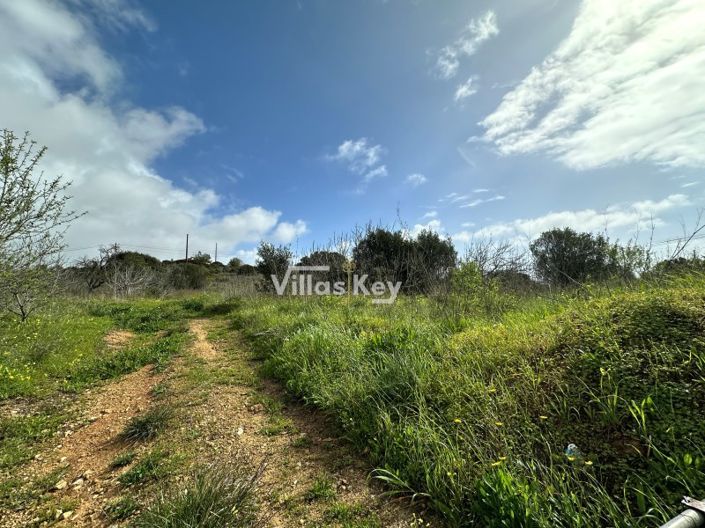 Image No.2-Plot for sale