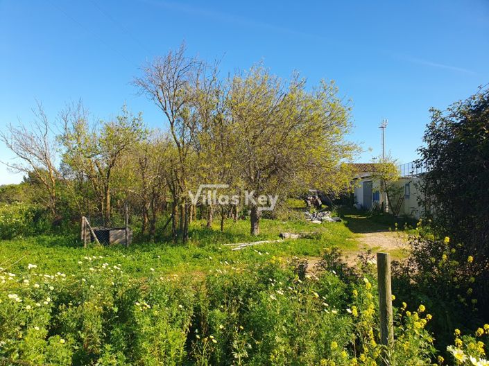 Image No.11-3 Bed Farmhouse for sale