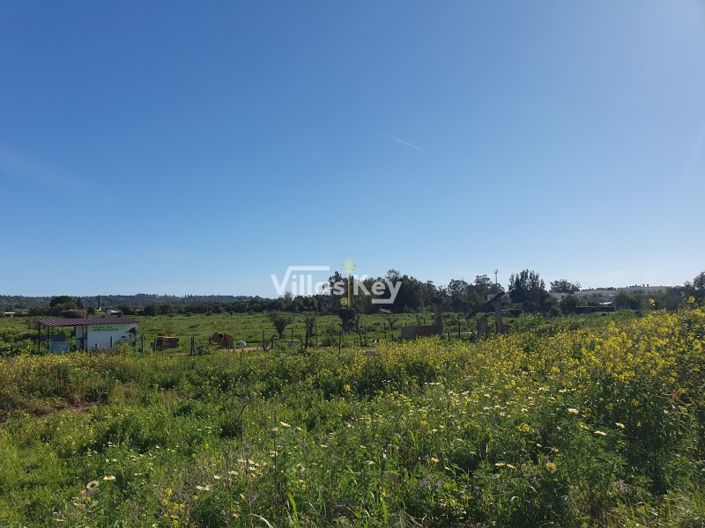 Image No.10-3 Bed Farmhouse for sale