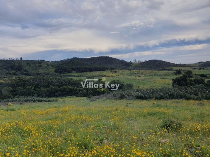 Image No.15-Plot for sale