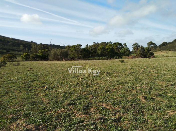 Image No.3-Plot for sale