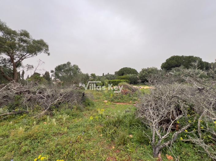 Image No.10-Plot for sale