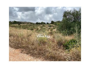 id32102601-0000-0500-0000-0000105c33b5