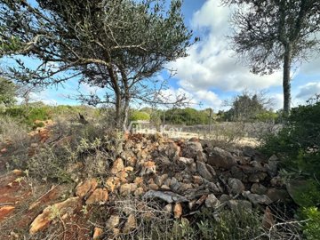 id16048301-0000-0500-0000-000013e7561c