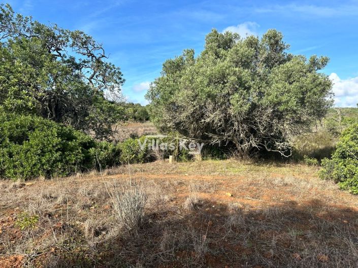 Image No.10-Terrain à vendre à Lagos