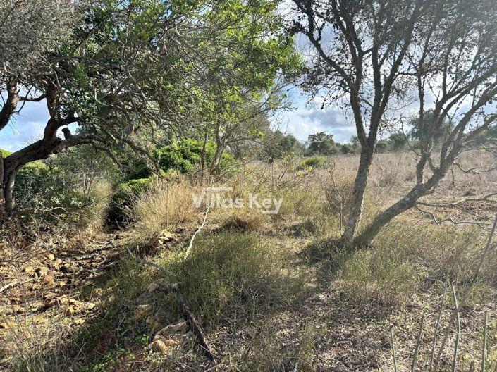 Image No.12-Terrain à vendre à Lagos