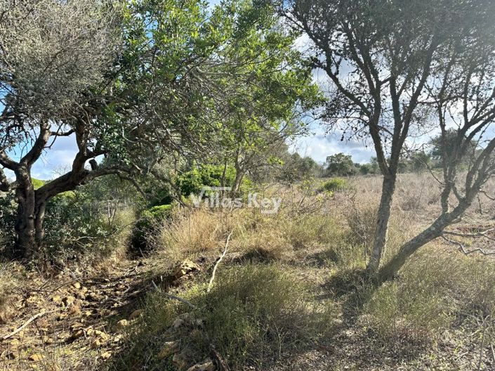 Image No.14-Terrain à vendre à Lagos