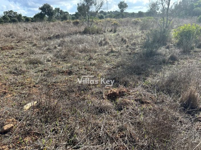 Image No.17-Terrain à vendre à Lagos