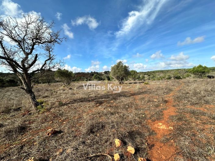 Image No.6-Terrain à vendre à Lagos