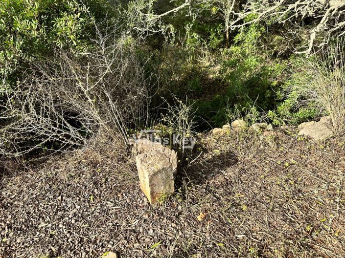 Image No.7-Terrain à vendre à Lagos