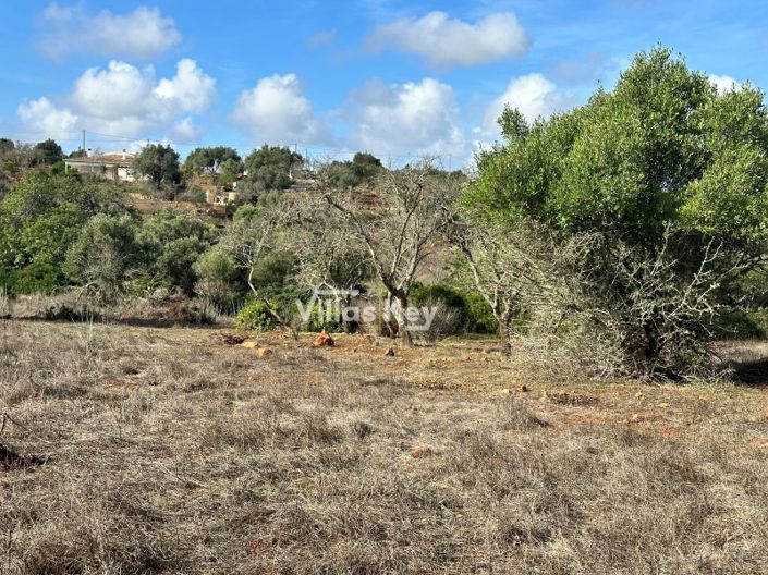 Image No.8-Terrain à vendre à Lagos