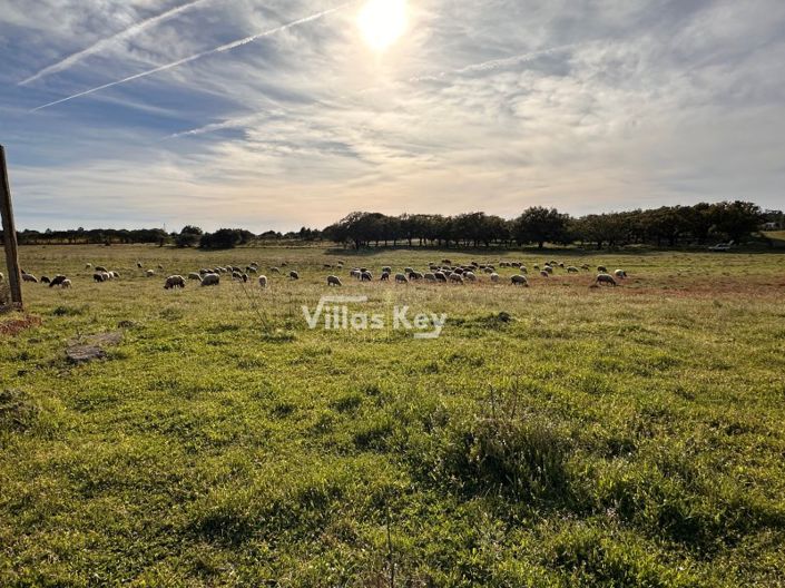 Image No.5-Terrain à vendre à Portimao