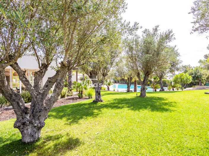 Image No.46-Maison de 2 chambres à vendre à Lagoa