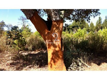 id5da28301-0000-0500-0000-0000143750fc