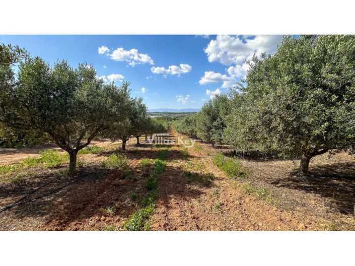 Image No.24-4 Bed Farmhouse for sale