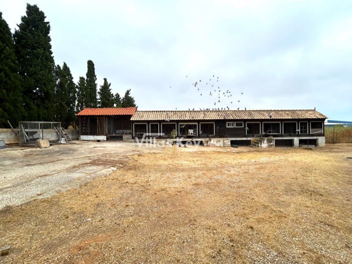 Image No.5-Plot for sale