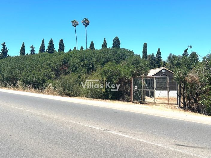 Image No.8-Plot for sale