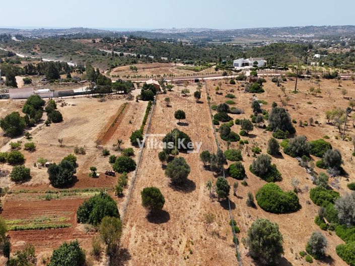 Image No.6-Terrain à vendre à Lagos