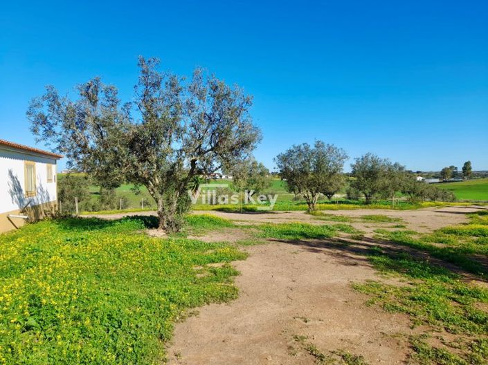 Image No.14-Ferme de 8 chambres à vendre à Beja