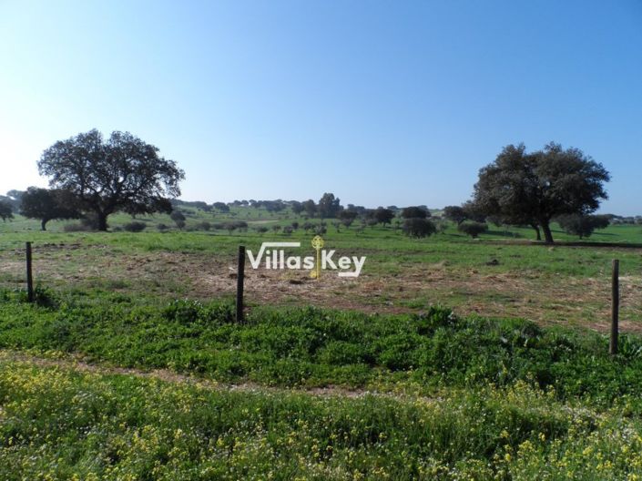 Image No.18-Ferme de 8 chambres à vendre à Beja