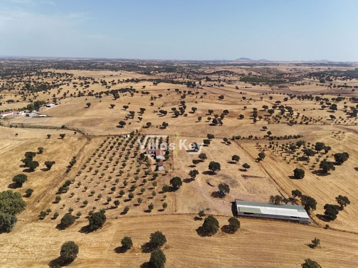 Image No.6-Ferme de 8 chambres à vendre à Beja