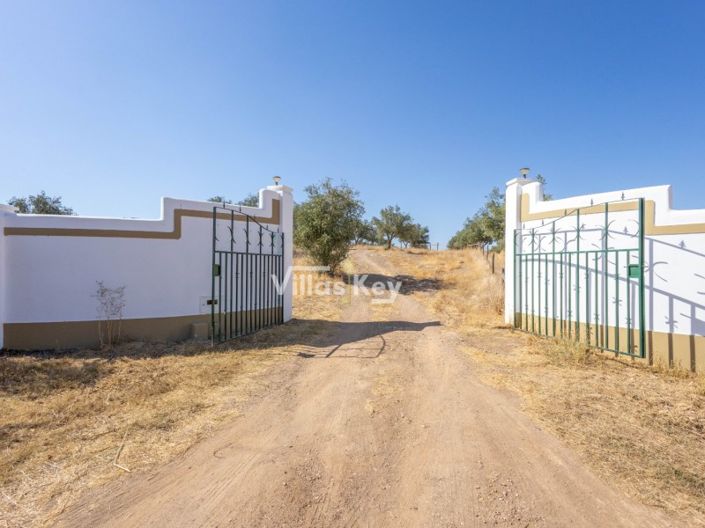 Image No.3-Ferme de 8 chambres à vendre à Beja