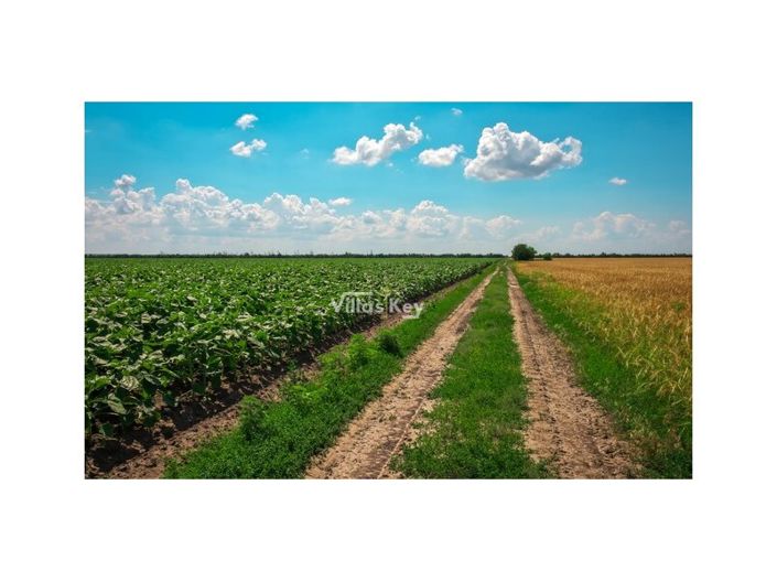 Image No.21-Ferme de 8 chambres à vendre à Beja