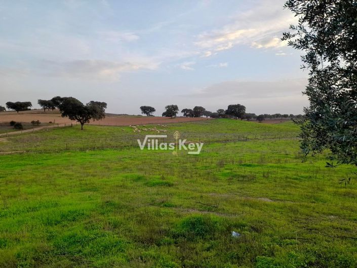 Image No.22-Ferme de 8 chambres à vendre à Beja