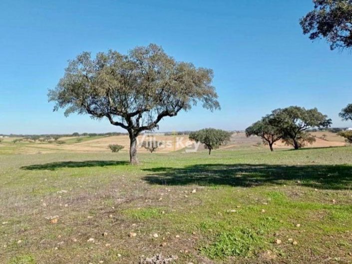 Image No.23-Ferme de 8 chambres à vendre à Beja