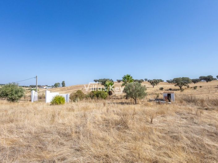 Image No.39-Ferme de 8 chambres à vendre à Beja