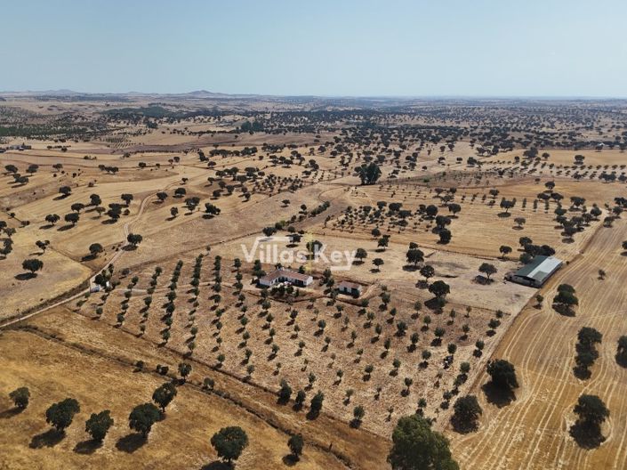 Image No.7-Ferme de 8 chambres à vendre à Beja