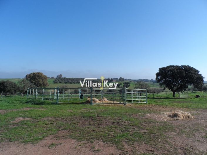 Image No.25-Ferme de 8 chambres à vendre à Beja