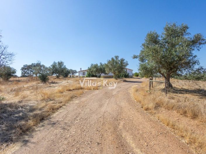 Image No.40-Ferme de 8 chambres à vendre à Beja