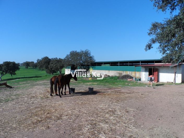 Image No.26-Ferme de 8 chambres à vendre à Beja