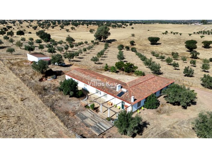 Image No.41-Ferme de 8 chambres à vendre à Beja