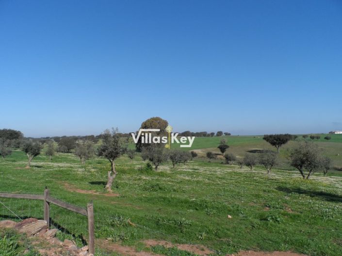 Image No.27-Ferme de 8 chambres à vendre à Beja