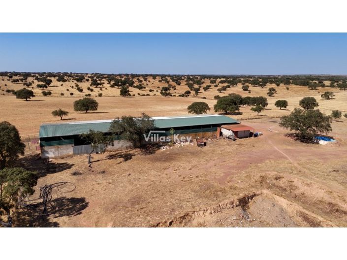 Image No.42-Ferme de 8 chambres à vendre à Beja