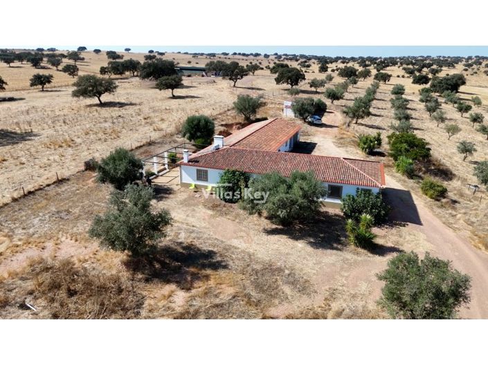 Image No.43-Ferme de 8 chambres à vendre à Beja