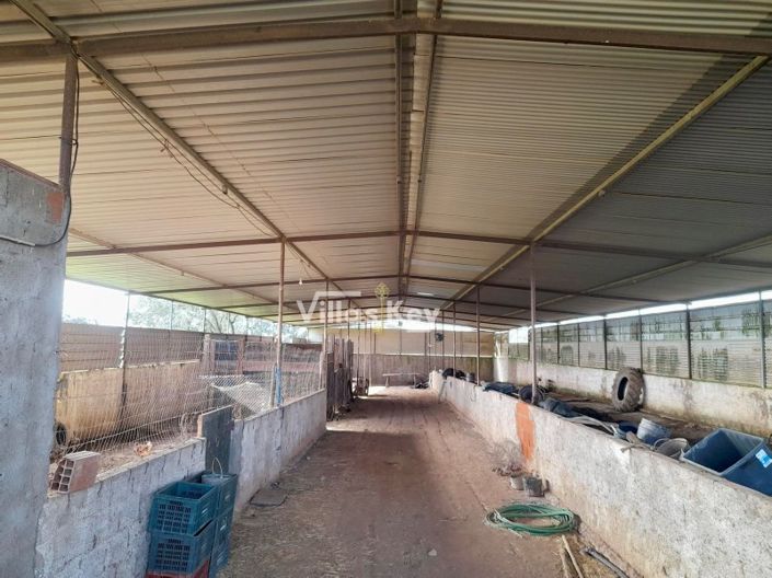 Image No.29-Ferme de 8 chambres à vendre à Beja