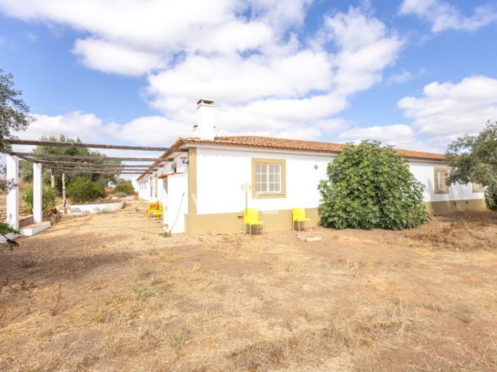 Image No.44-Ferme de 8 chambres à vendre à Beja