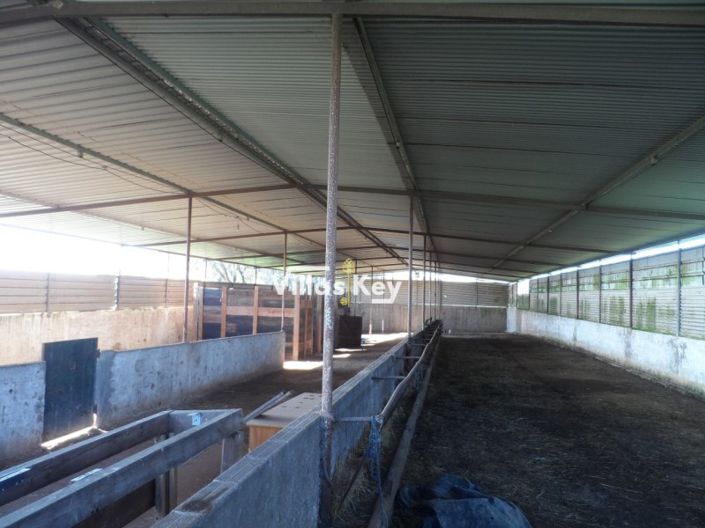 Image No.31-Ferme de 8 chambres à vendre à Beja