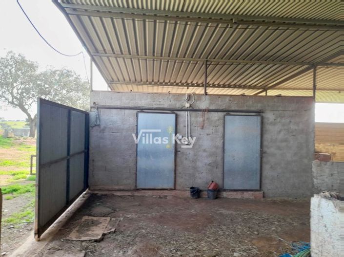 Image No.32-Ferme de 8 chambres à vendre à Beja