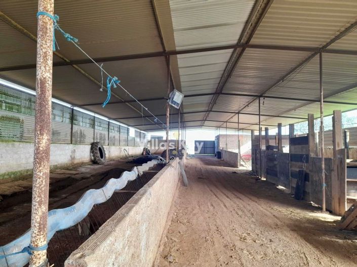 Image No.30-Ferme de 8 chambres à vendre à Beja