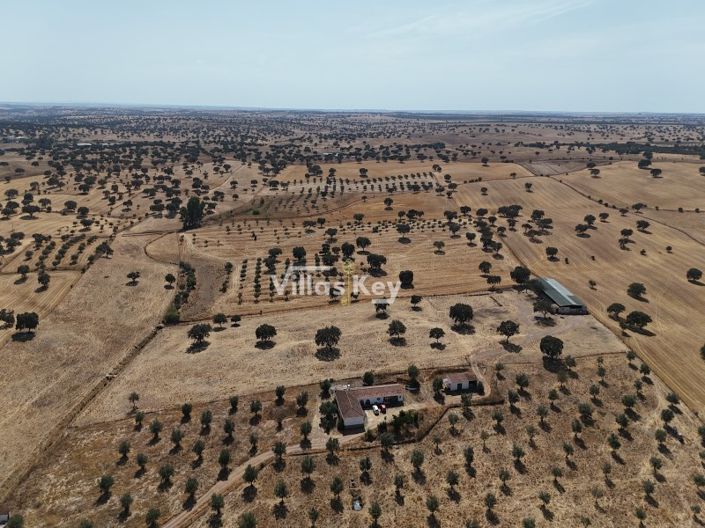 Image No.34-Ferme de 8 chambres à vendre à Beja