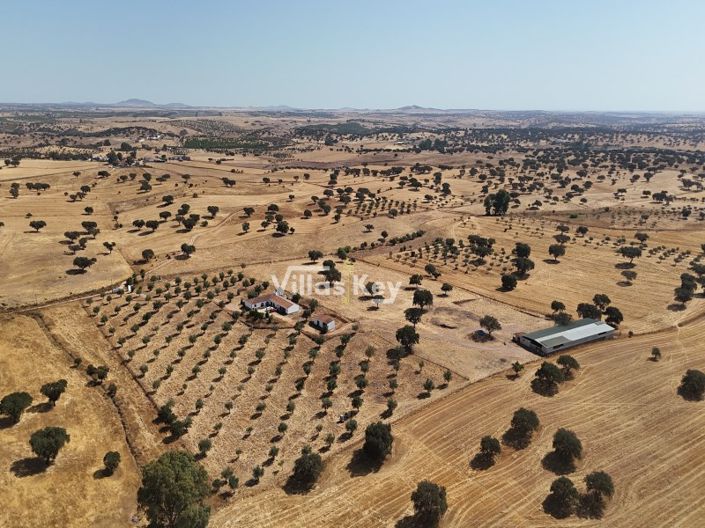 Image No.35-Ferme de 8 chambres à vendre à Beja