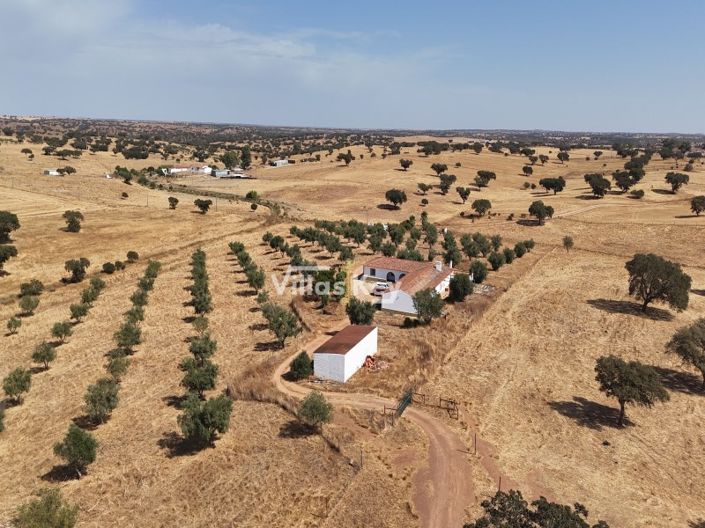 Image No.36-Ferme de 8 chambres à vendre à Beja