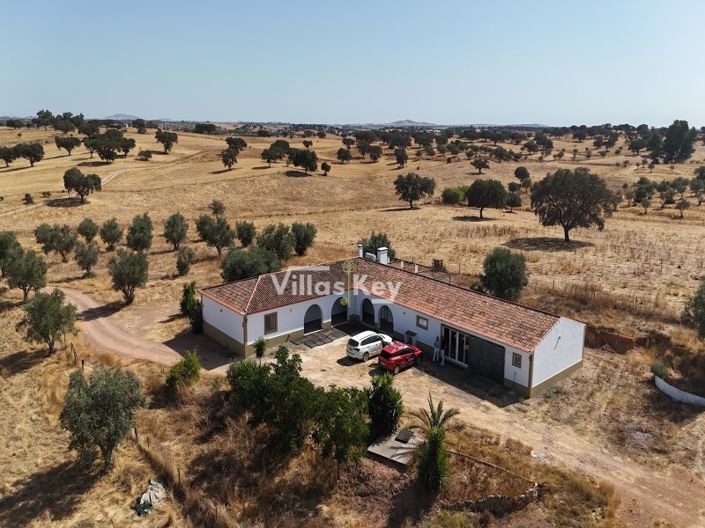 Image No.38-Ferme de 8 chambres à vendre à Beja